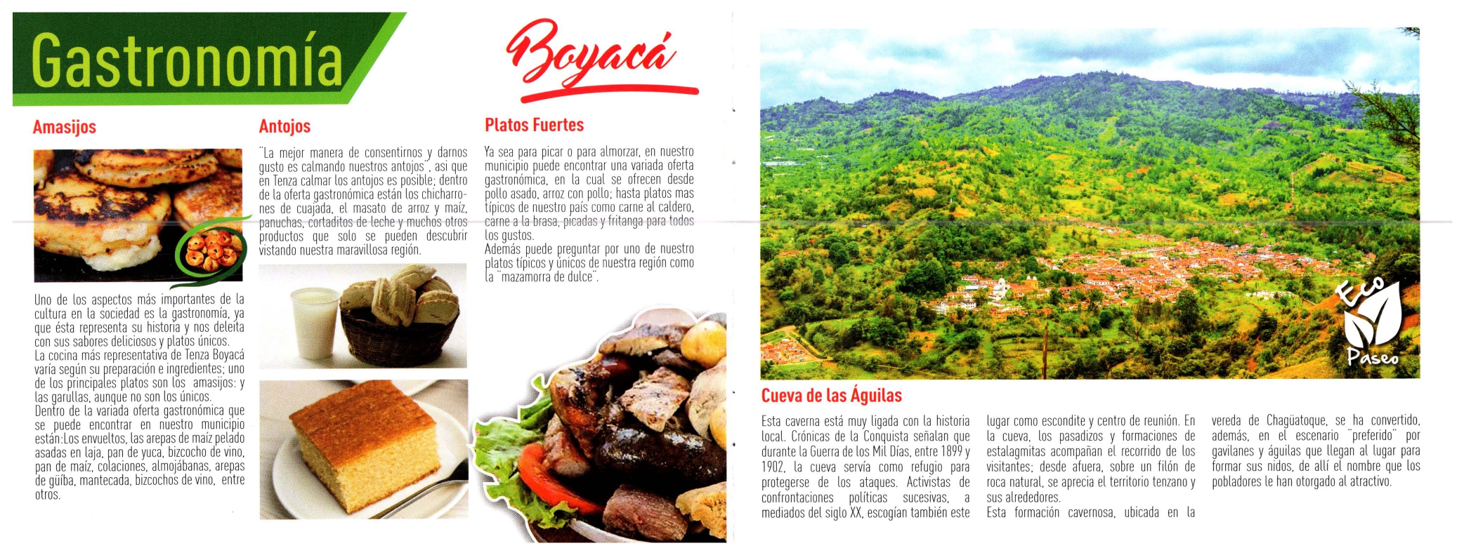 Imagen 1 de GASTRONOMÍA