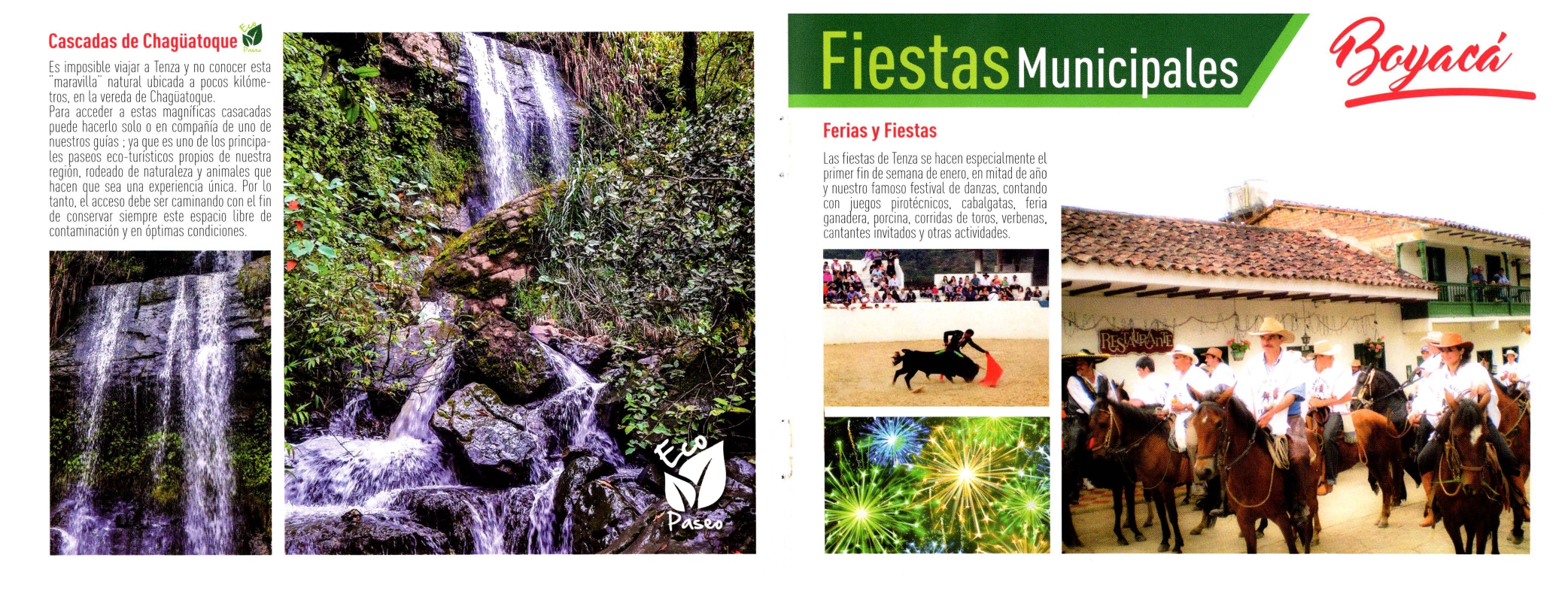 Imagen 2 de GASTRONOMÍA